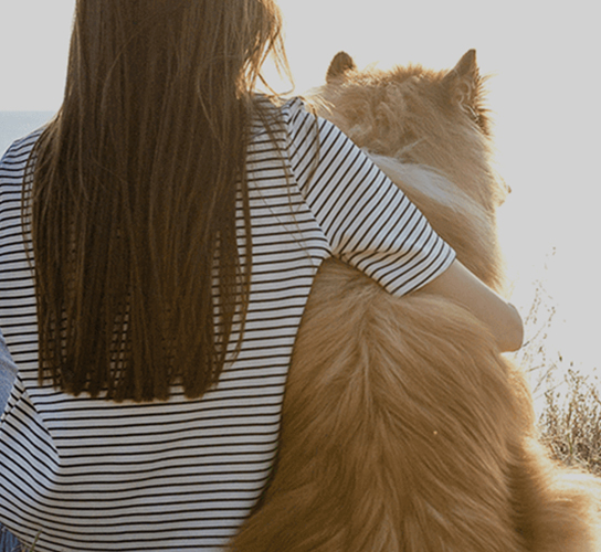 Philosophie und Werte